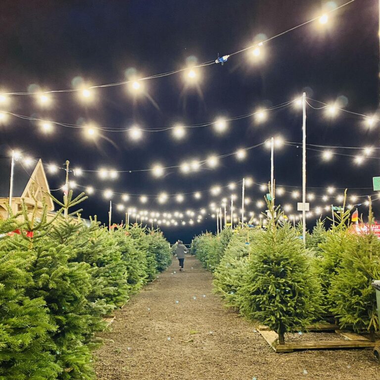 407375853 1130862401404596 8418905478329103006 n 768x768