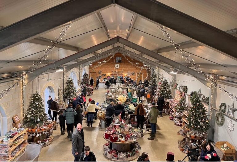 455172959 1303600140797487 6087176042336402932 n 768x528