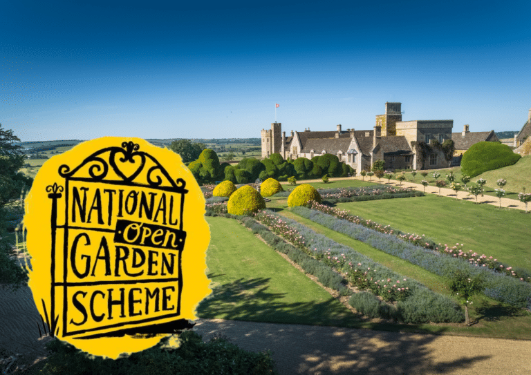 NGS Website Picture 2 1 768x543