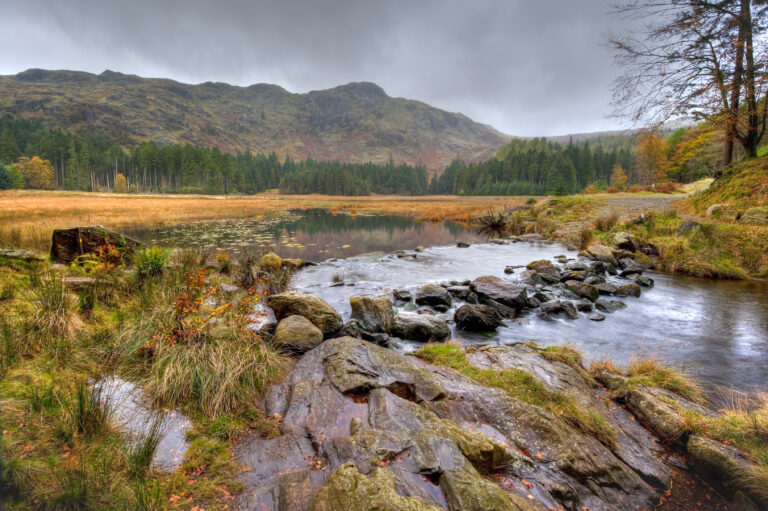 DSC5547 HarropTarn b 768x511