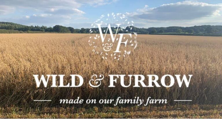 471820021 1141394311322812 3752183895846061985 n 768x413