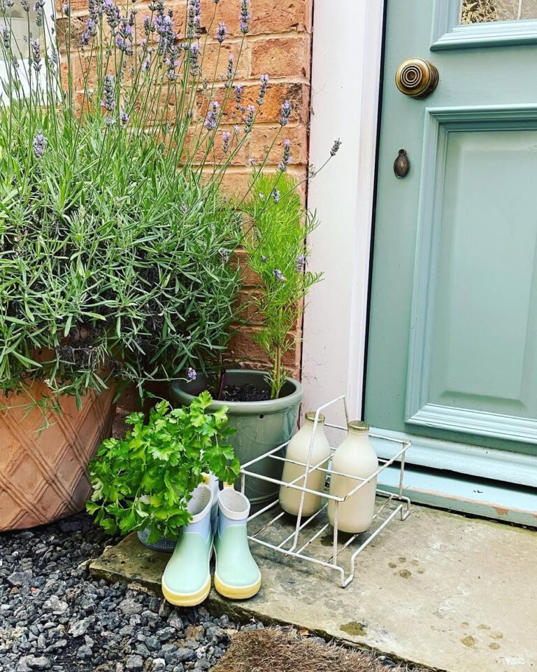 475438783 605101385477675 5205390568174796747 n 768x960