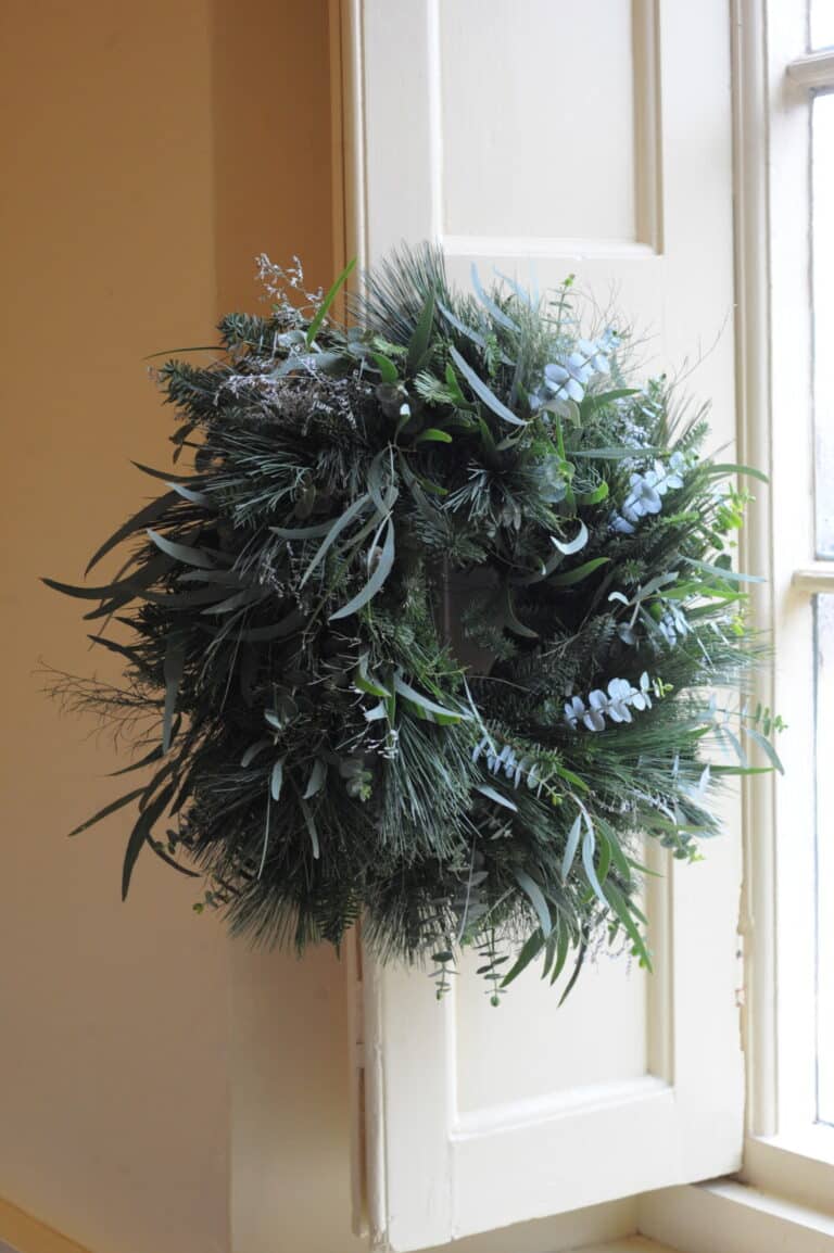 DSC 1904  ScaleWidthWzIwMDBd 768x1154