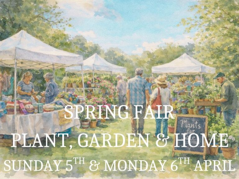 0iyf8n6tcu4wdb76 768x576