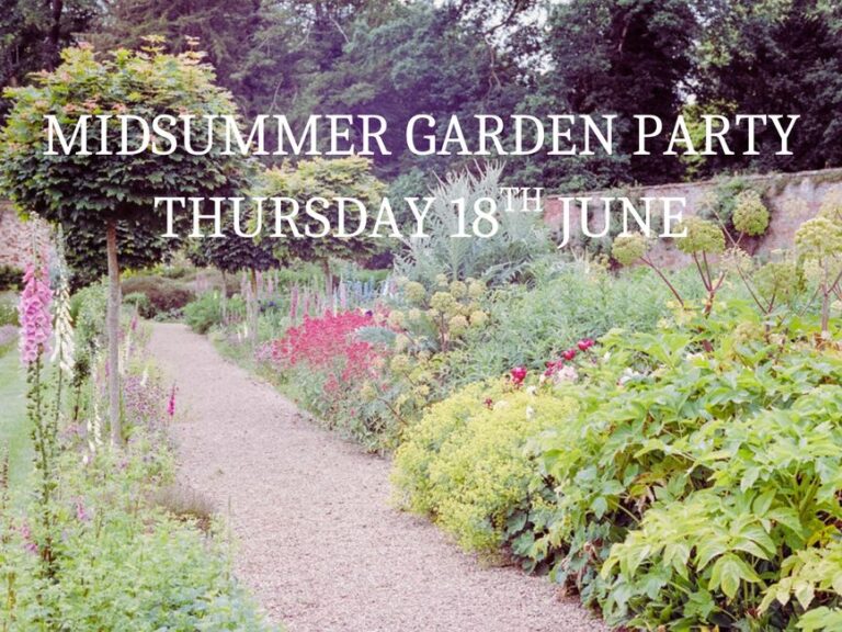 a491jckpysd3s7xw 768x576